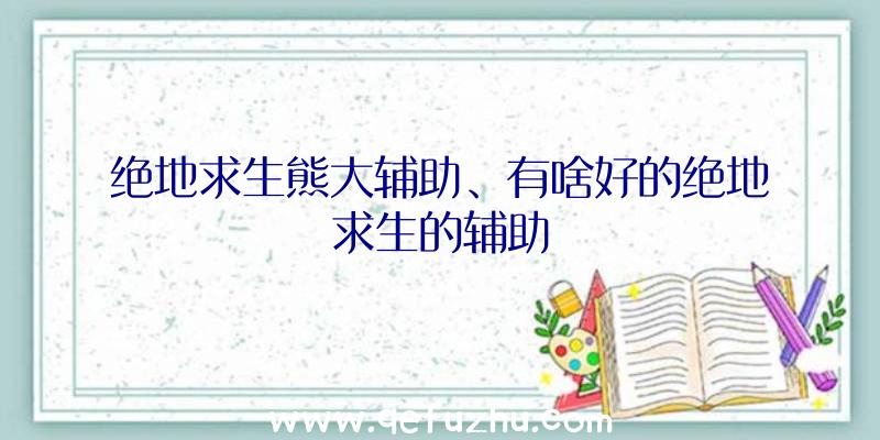 绝地求生熊大辅助、有啥好的绝地求生的辅助