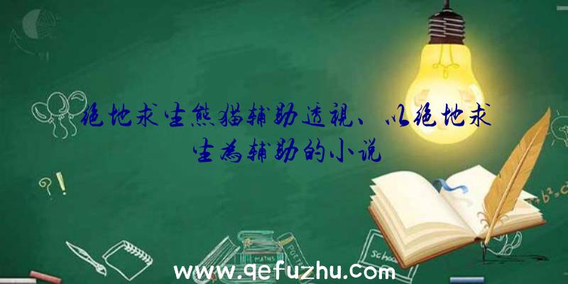 绝地求生熊猫辅助透视、以绝地求生为辅助的小说