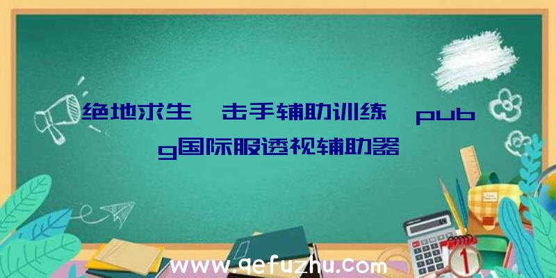 绝地求生狙击手辅助训练、pubg国际服透视辅助器