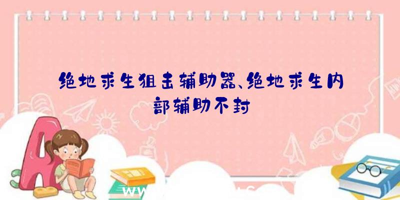 绝地求生狙击辅助器、绝地求生内部辅助不封