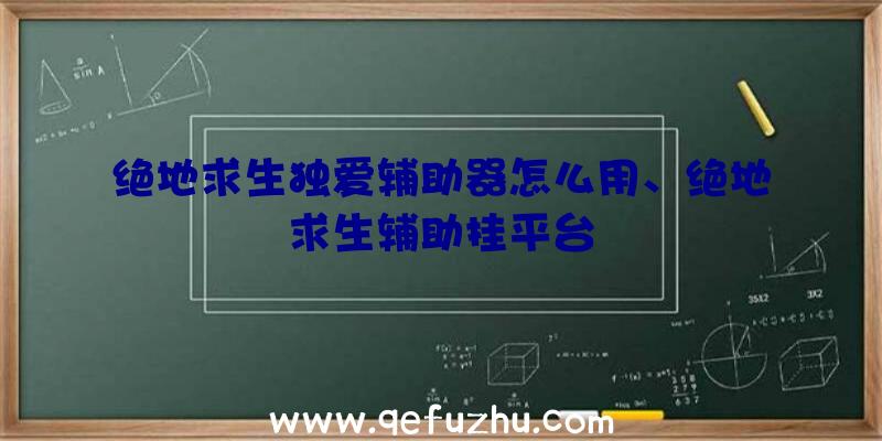 绝地求生独爱辅助器怎么用、绝地求生辅助挂平台