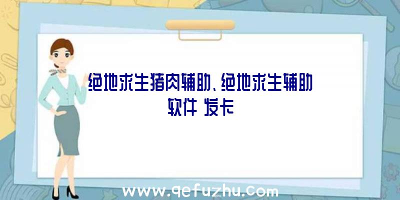 绝地求生猪肉辅助、绝地求生辅助软件