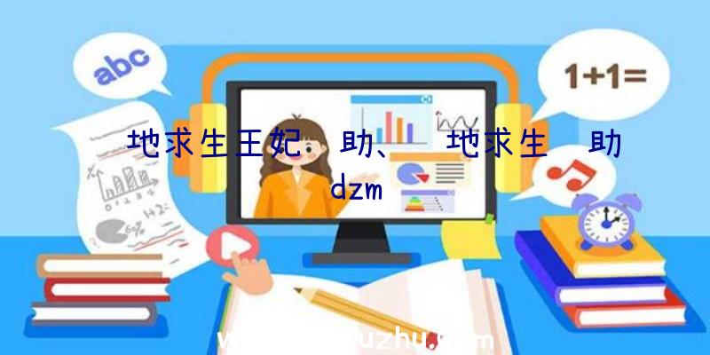 绝地求生王妃辅助、绝地求生辅助dzm