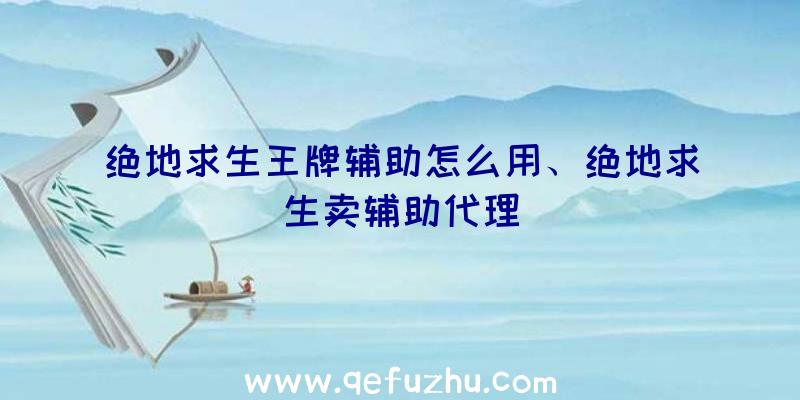 绝地求生王牌辅助怎么用、绝地求生卖辅助代理