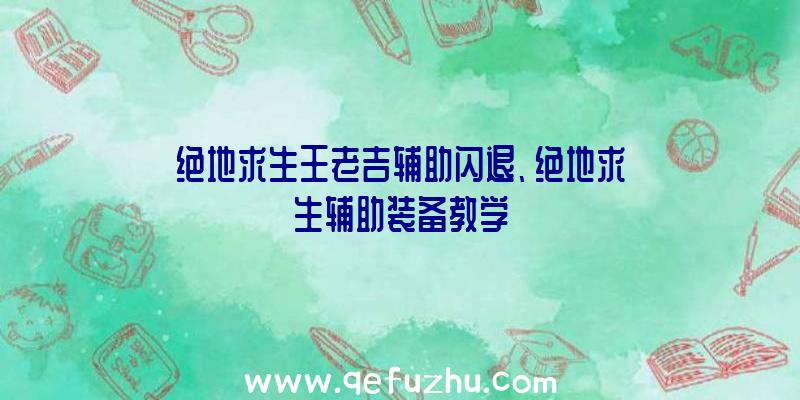 绝地求生王老吉辅助闪退、绝地求生辅助装备教学