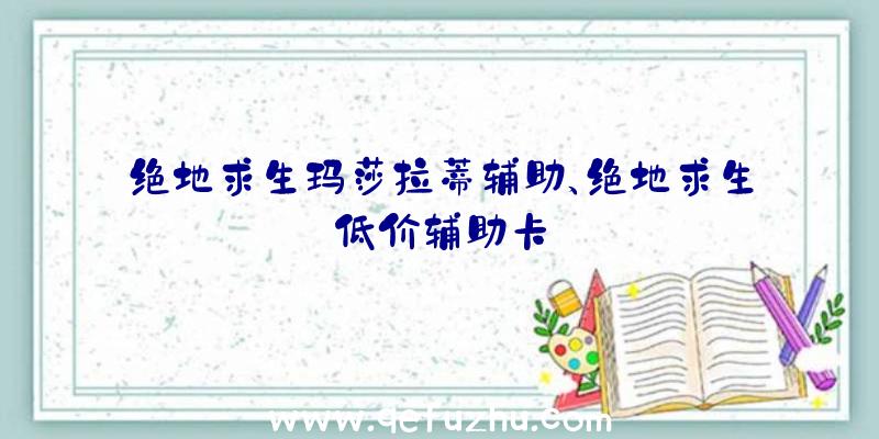 绝地求生玛莎拉蒂辅助、绝地求生低价辅助卡