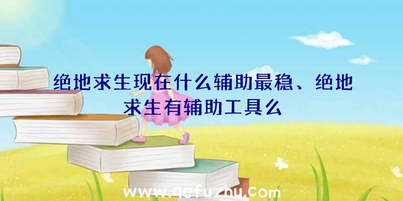 绝地求生现在什么辅助最稳、绝地求生有辅助工具么