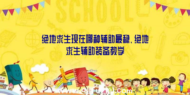 绝地求生现在哪种辅助最稳、绝地求生辅助装备教学