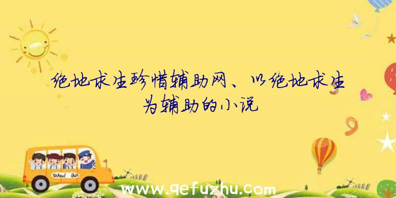 绝地求生珍惜辅助网、以绝地求生为辅助的小说