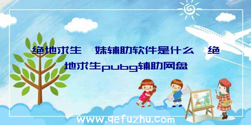 绝地求生瑶妹辅助软件是什么、绝地求生pubg辅助网盘