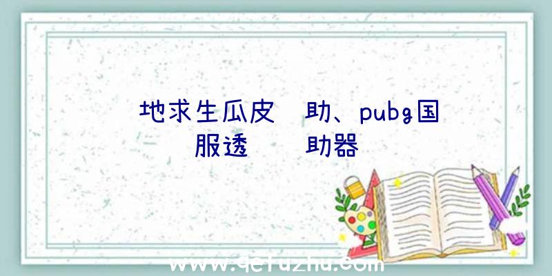 绝地求生瓜皮辅助、pubg国际服透视辅助器