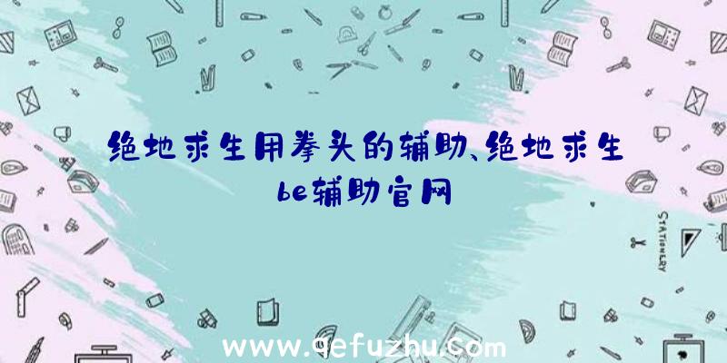 绝地求生用拳头的辅助、绝地求生be辅助官网