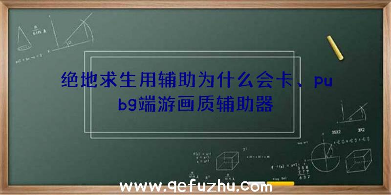 绝地求生用辅助为什么会卡、pubg端游画质辅助器