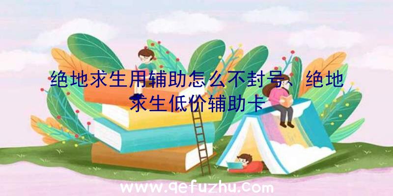 绝地求生用辅助怎么不封号、绝地求生低价辅助卡