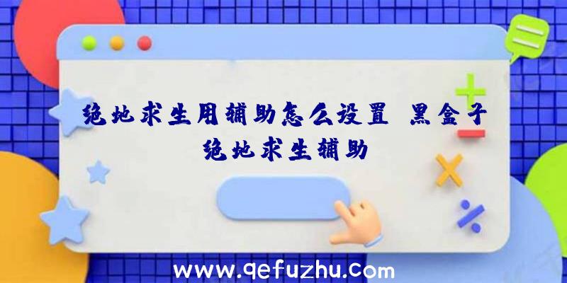 绝地求生用辅助怎么设置、黑盒子绝地求生辅助