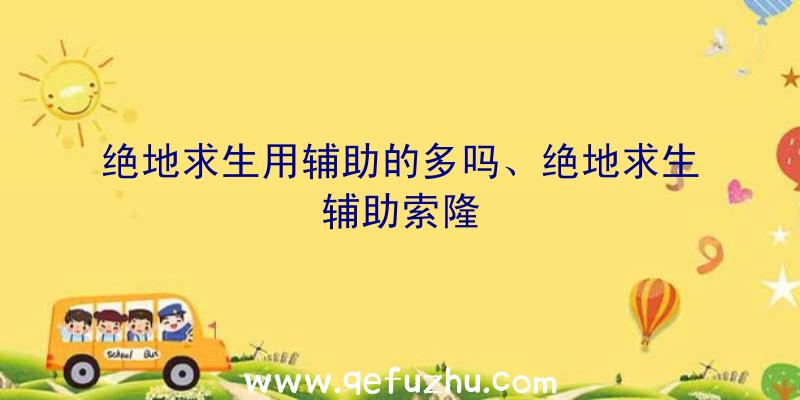 绝地求生用辅助的多吗、绝地求生辅助索隆