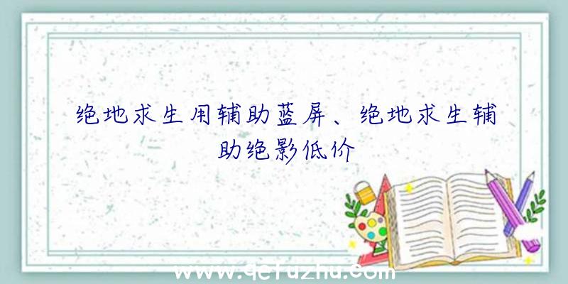 绝地求生用辅助蓝屏、绝地求生辅助绝影低价