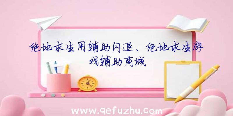 绝地求生用辅助闪退、绝地求生游戏辅助商城