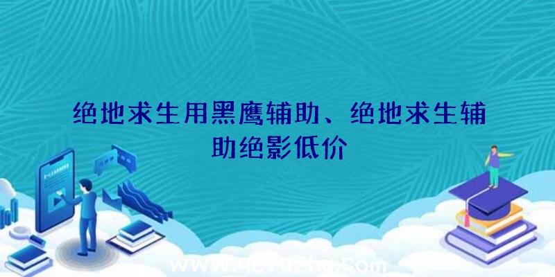 绝地求生用黑鹰辅助、绝地求生辅助绝影低价