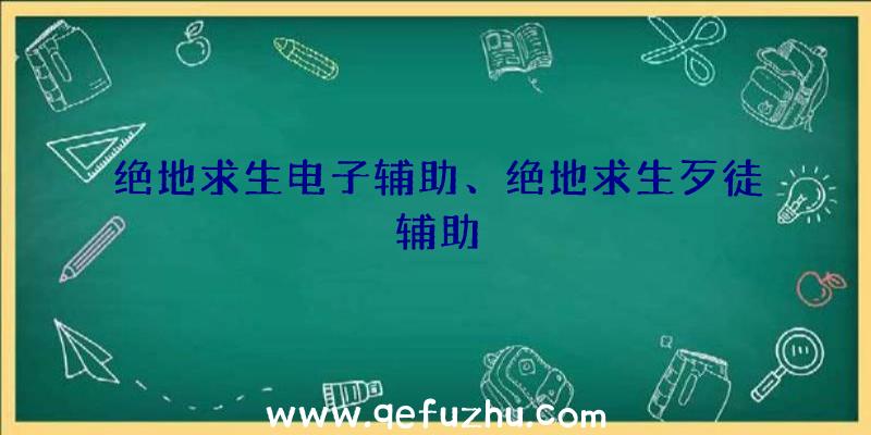 绝地求生电子辅助、绝地求生歹徒辅助