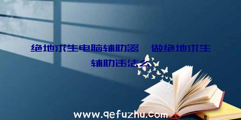 绝地求生电脑辅助器、做绝地求生辅助违法么