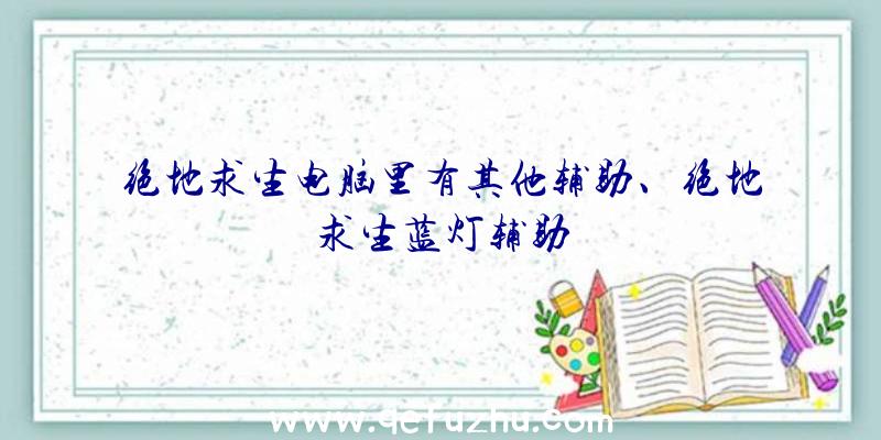 绝地求生电脑里有其他辅助、绝地求生蓝灯辅助