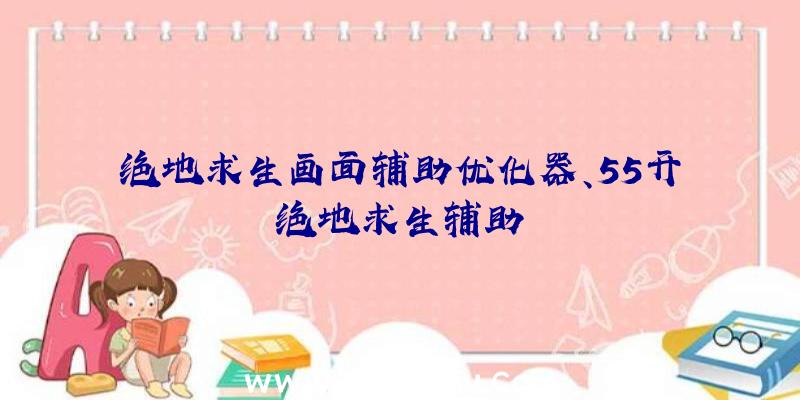 绝地求生画面辅助优化器、55开绝地求生辅助