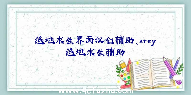 绝地求生界面汉化辅助、xray绝地求生辅助