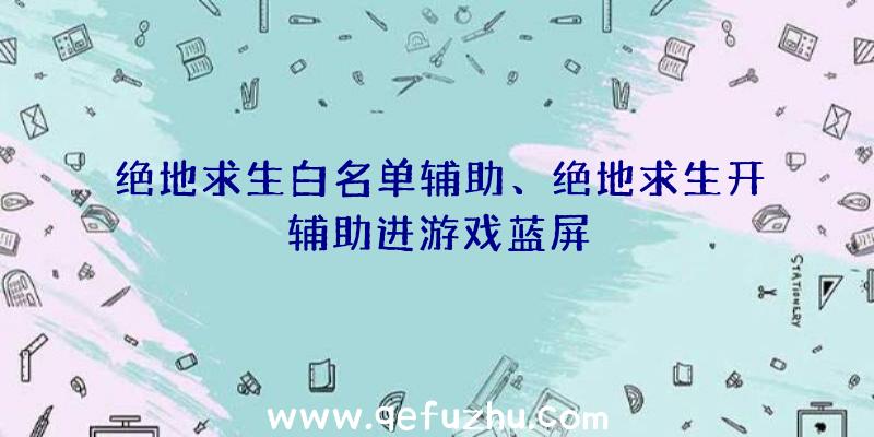 绝地求生白名单辅助、绝地求生开辅助进游戏蓝屏