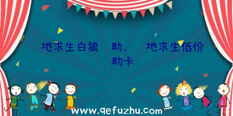 绝地求生白狼辅助、绝地求生低价辅助卡