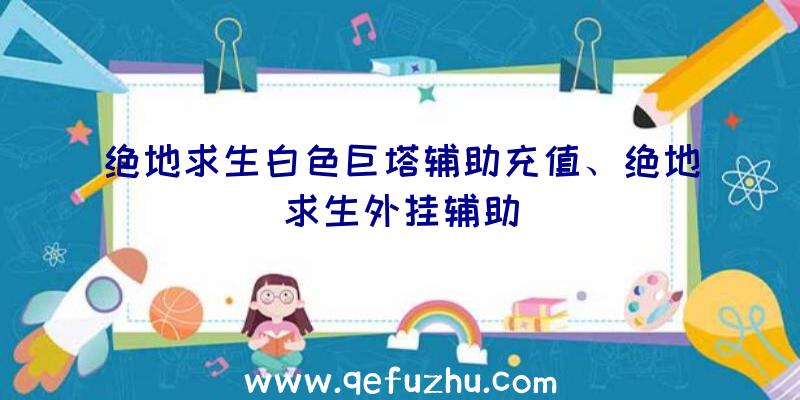 绝地求生白色巨塔辅助充值、绝地求生外挂辅助