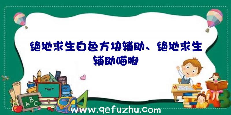 绝地求生白色方块辅助、绝地求生辅助瞄脚