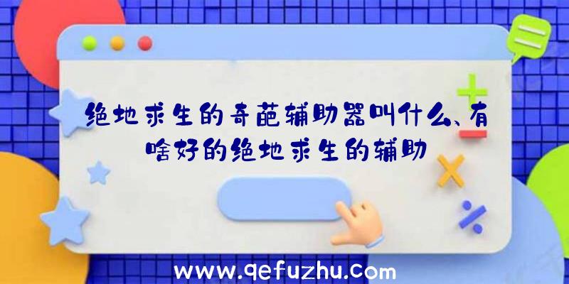 绝地求生的奇葩辅助器叫什么、有啥好的绝地求生的辅助