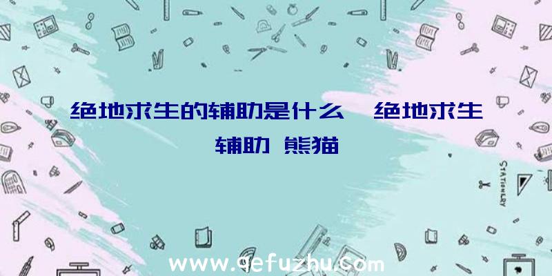 绝地求生的辅助是什么、绝地求生辅助