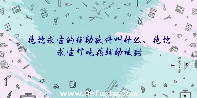 绝地求生的辅助软件叫什么、绝地求生秒吃药辅助被封