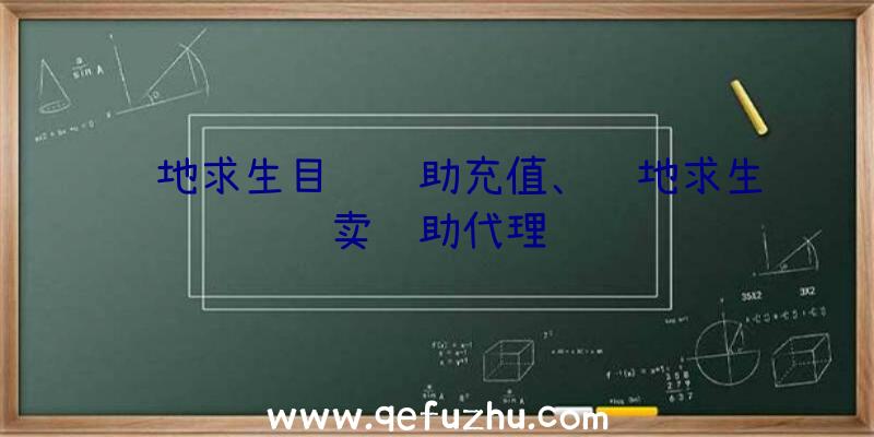 绝地求生目镜辅助充值、绝地求生卖辅助代理