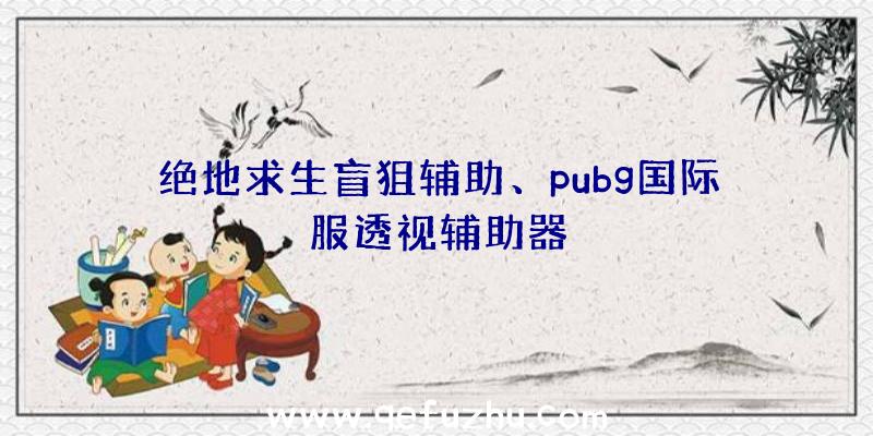 绝地求生盲狙辅助、pubg国际服透视辅助器