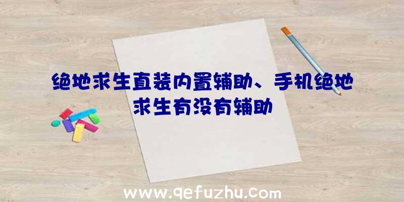 绝地求生直装内置辅助、手机绝地求生有没有辅助