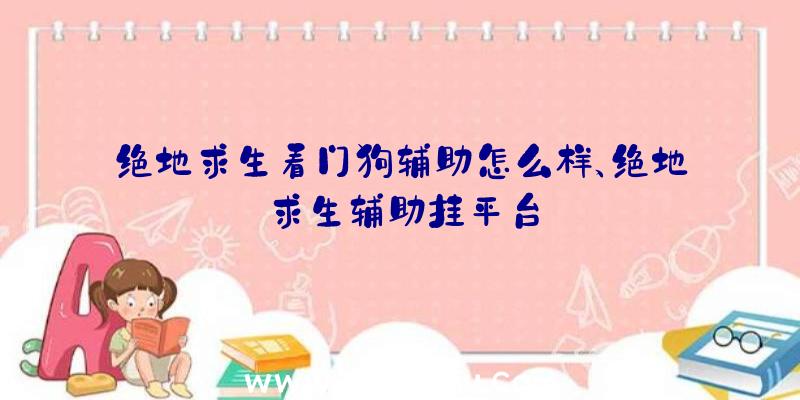 绝地求生看门狗辅助怎么样、绝地求生辅助挂平台