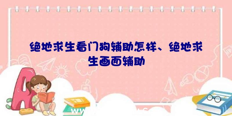 绝地求生看门狗辅助怎样、绝地求生画面辅助