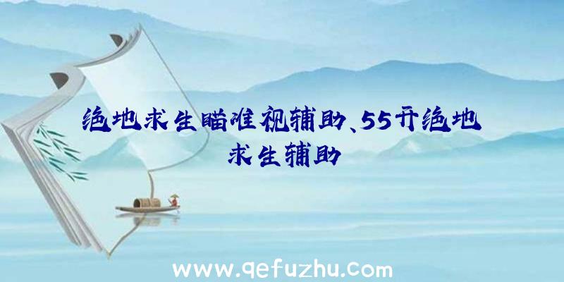 绝地求生瞄准视辅助、55开绝地求生辅助