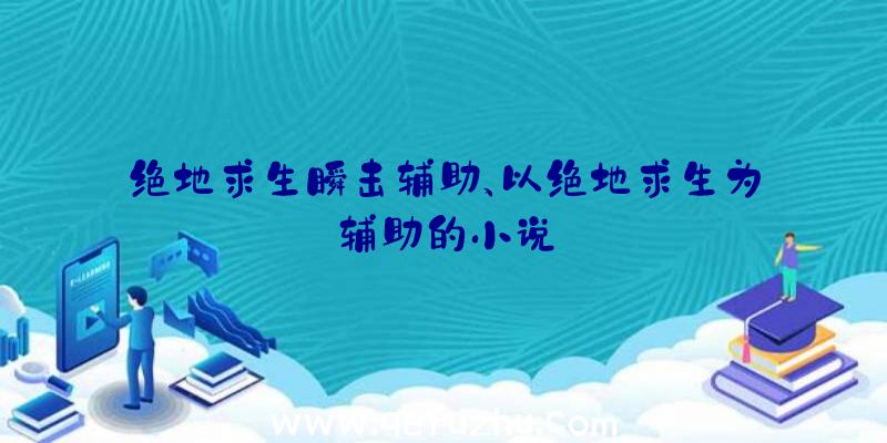 绝地求生瞬击辅助、以绝地求生为辅助的小说