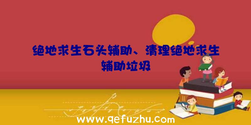 绝地求生石头辅助、清理绝地求生辅助垃圾