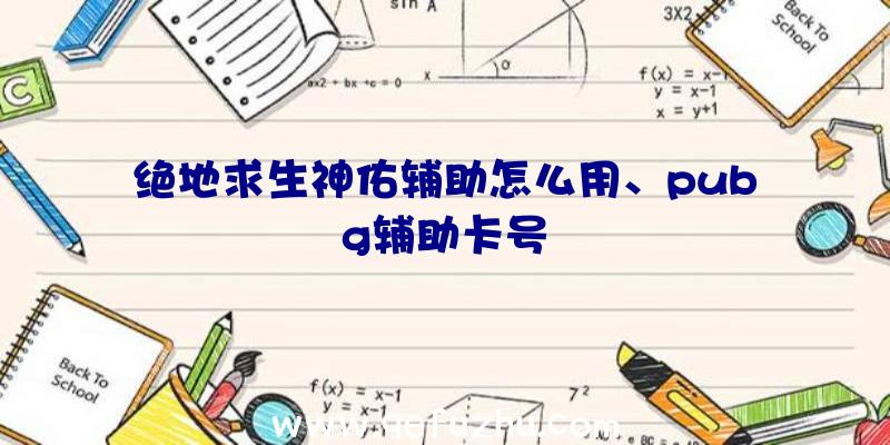 绝地求生神佑辅助怎么用、pubg辅助卡号