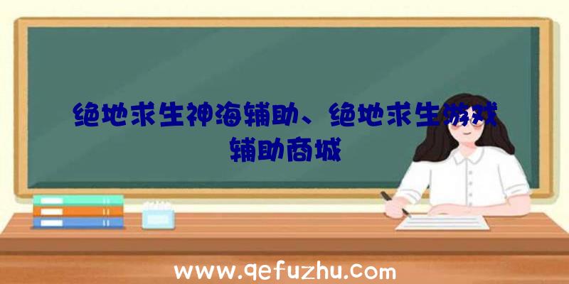 绝地求生神海辅助、绝地求生游戏辅助商城