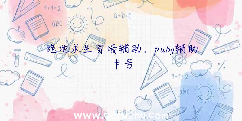 绝地求生穿墙辅助、pubg辅助卡号