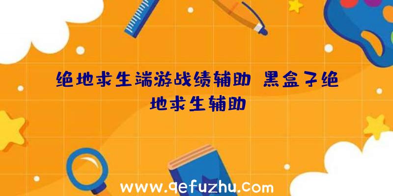 绝地求生端游战绩辅助、黑盒子绝地求生辅助