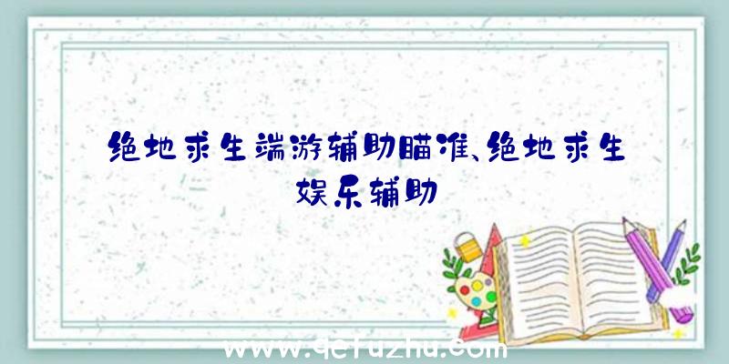 绝地求生端游辅助瞄准、绝地求生娱乐辅助