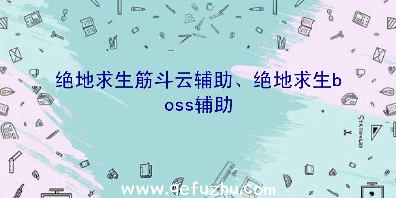 绝地求生筋斗云辅助、绝地求生boss辅助