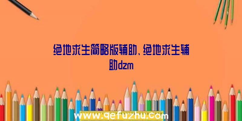 绝地求生简略版辅助、绝地求生辅助dzm